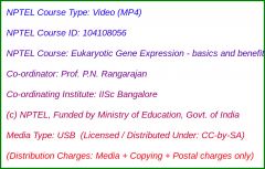 Eukaryotic Gene Expression - basics and benefits (USB)