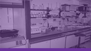 Chemistry and Biochemistry Chemistry and Biochemistry