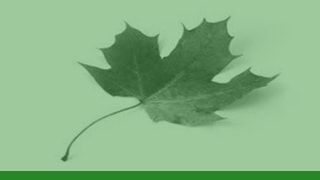 Environmental Science Environmental Science